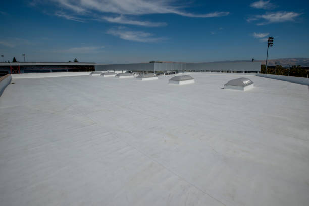 Best 4 Ply Roofing  in Glendale, MS